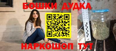 индика Гусь-Хрустальный