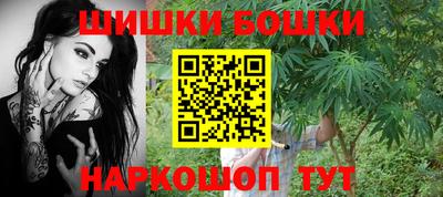 индика Гусь-Хрустальный