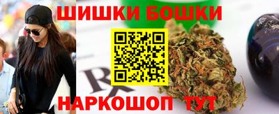 индика Гусь-Хрустальный